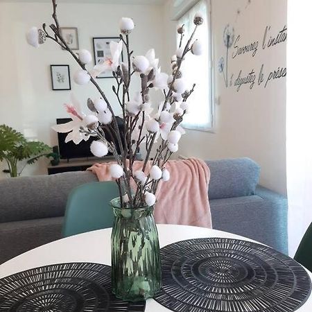 Proche Aeroport A Pied, Le Reve Rose. Apartment Tillé Екстериор снимка