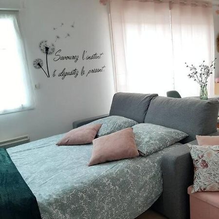 Proche Aeroport A Pied, Le Reve Rose. Apartment Tillé Екстериор снимка