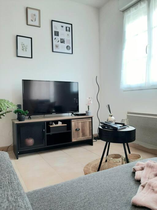 Proche Aeroport A Pied, Le Reve Rose. Apartment Tillé Екстериор снимка
